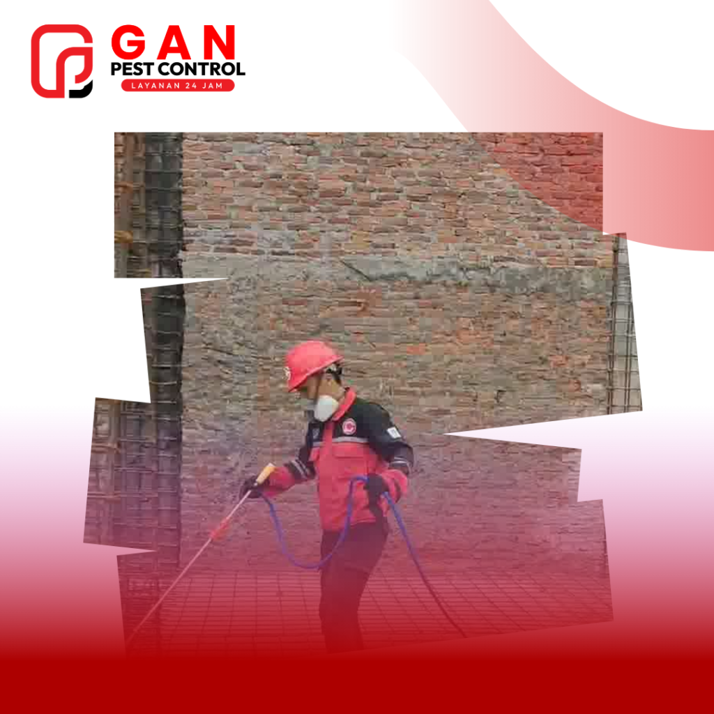 Termite Control: Panduan Lengkap dan Strategi Ampuh Melindungi Properti Anda Dari Rayap