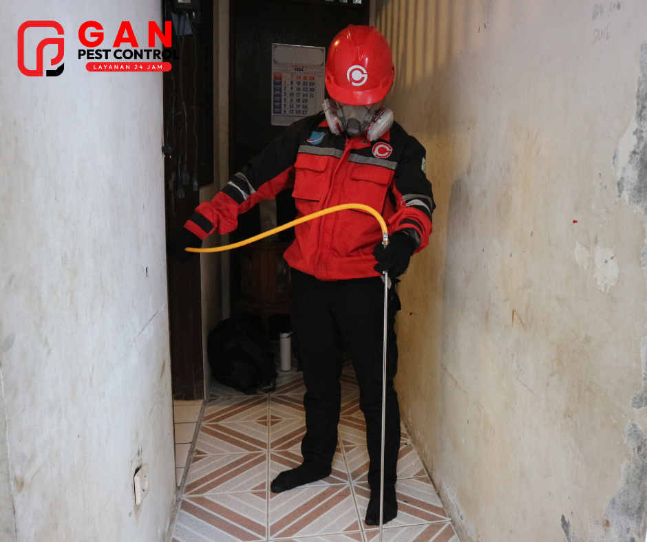 Jasa Anti Rayap Metode Injeksi