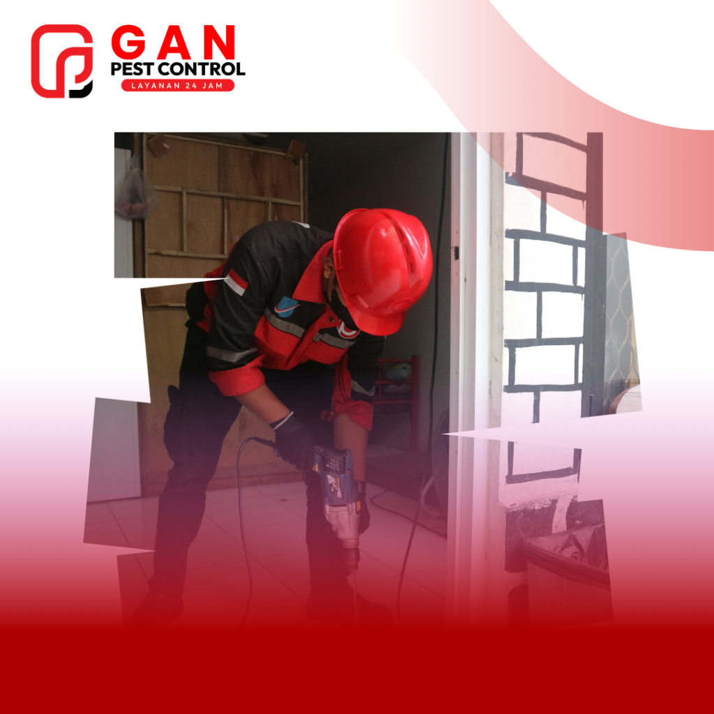 Jasa Anti Rayap Bogor Standar SNI