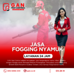 Jasa Fogging Nyamuk di Boyolali Spesialis DBD Harga Terjangkau