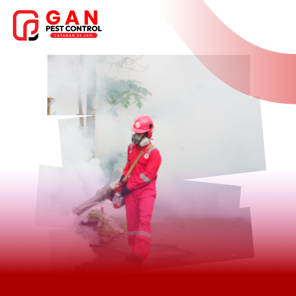 Jasa Fogging Nyamuk di Grobogan Spesialis DBD Harga Terjangkau