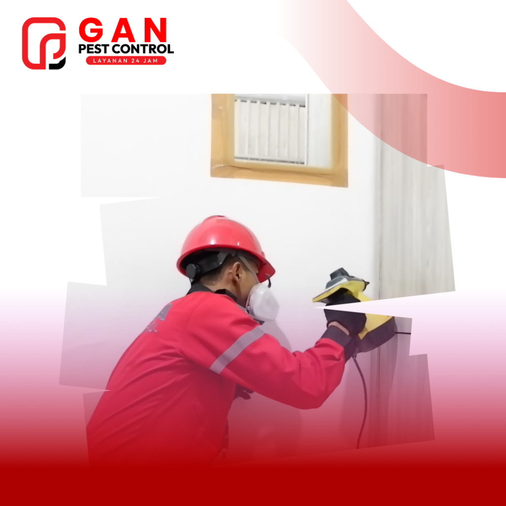 Jasa Pembasmi Kecoa di Apartemen Bergaransi