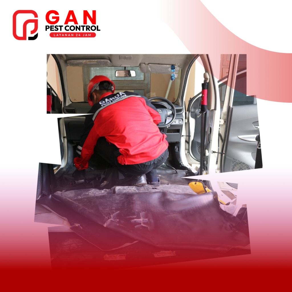 Jasa Pembasmi Kecoa di Mobil Terdekat