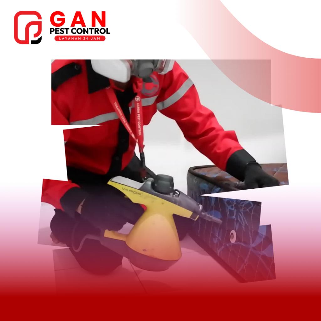 Kutu Busuk: Panduan Lengkap Mengenal, Mencegah, dan Membasmi Hama Penghisap Darah