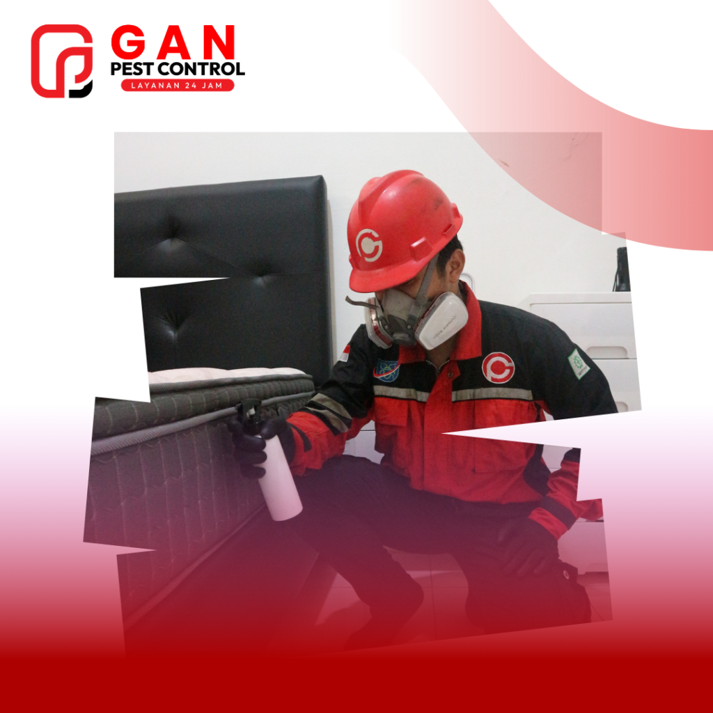 Jasa Pembasmi Kutu Kasur Terdekat (2)