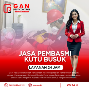 Jasa Pembasmi Kutu Kasur Terdekat Bergaransi