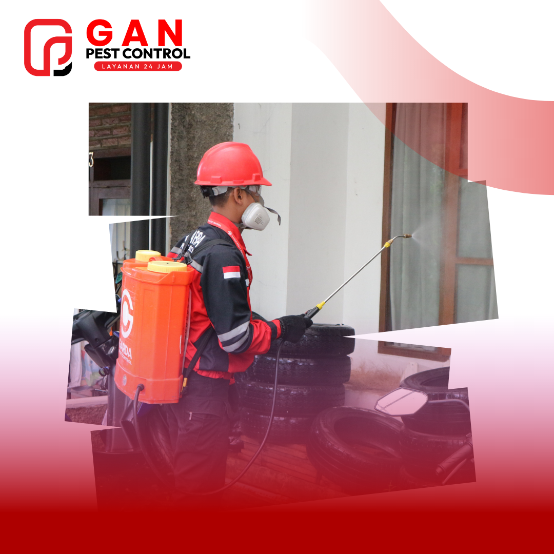 Pest Control: Panduan Lengkap Perlindungan Properti dan Kesehatan