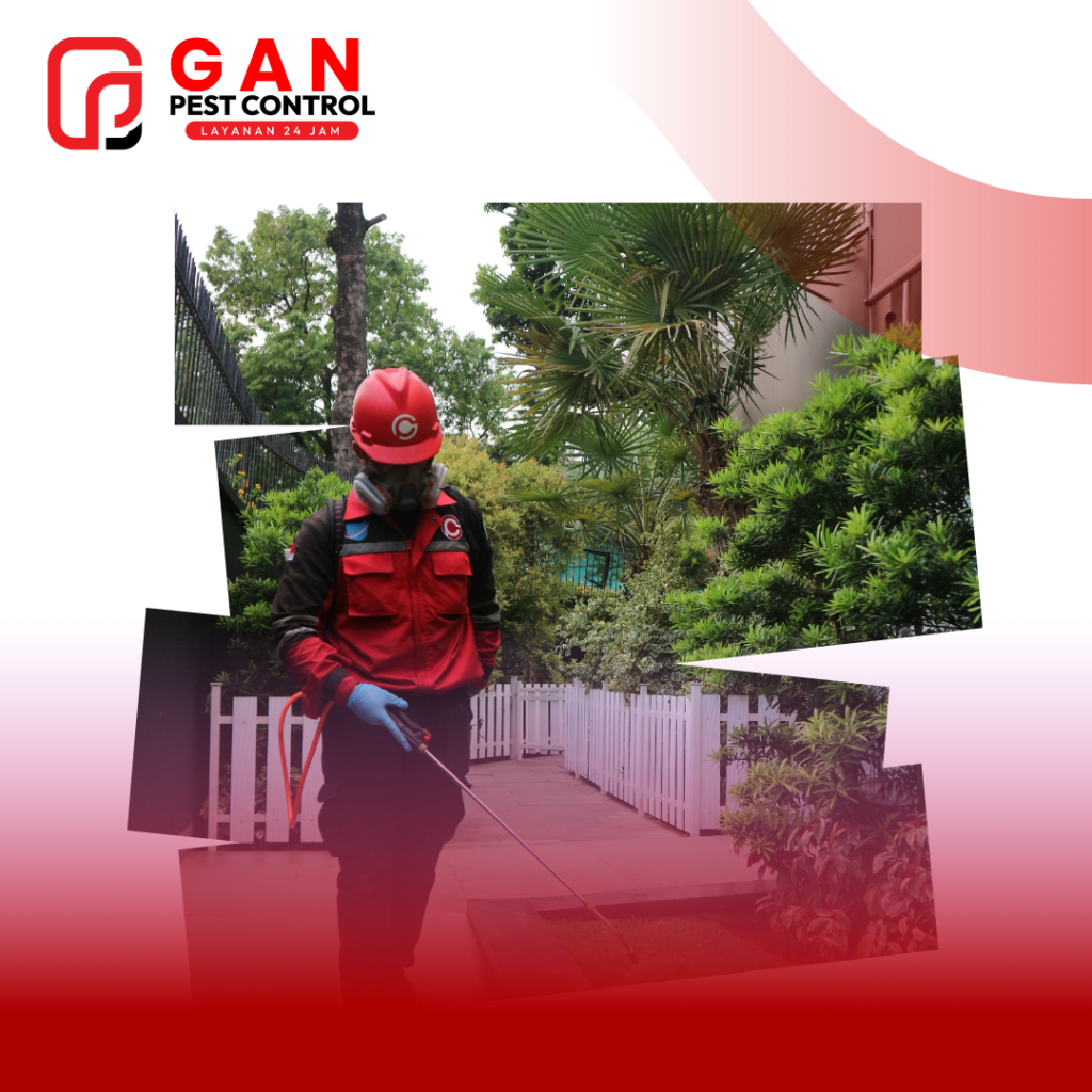 Lalat: Ancaman Kesehatan di Balik Sayap Kecil dan Solusi Pengendalian Tuntas