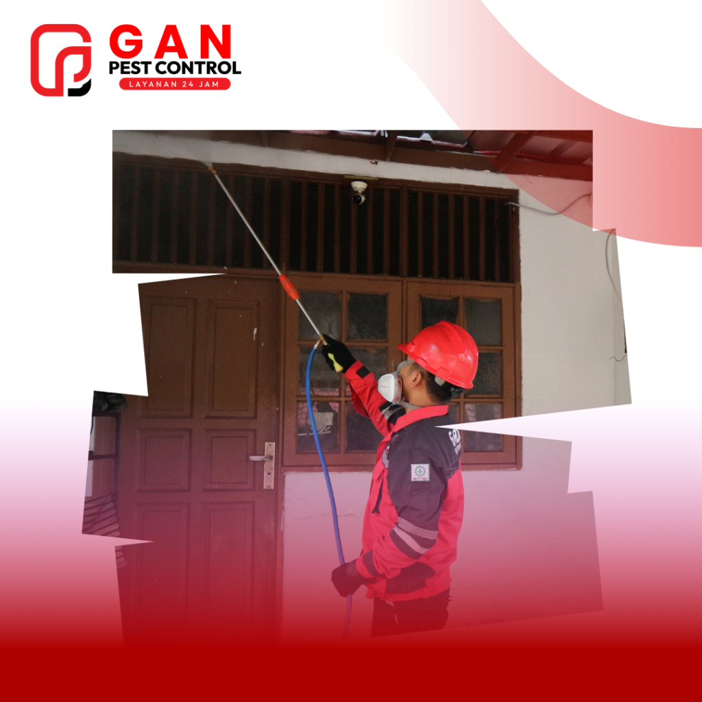 Kelelawar: Mengenal Karakteristik, Risiko Kesehatan, dan Solusi Pengendalian Profesional