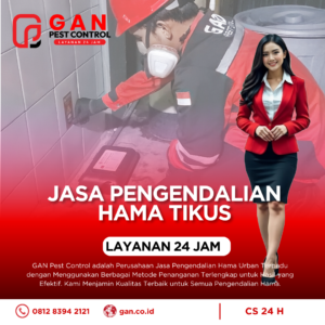 Jasa Pembasmi Tikus Terdekat