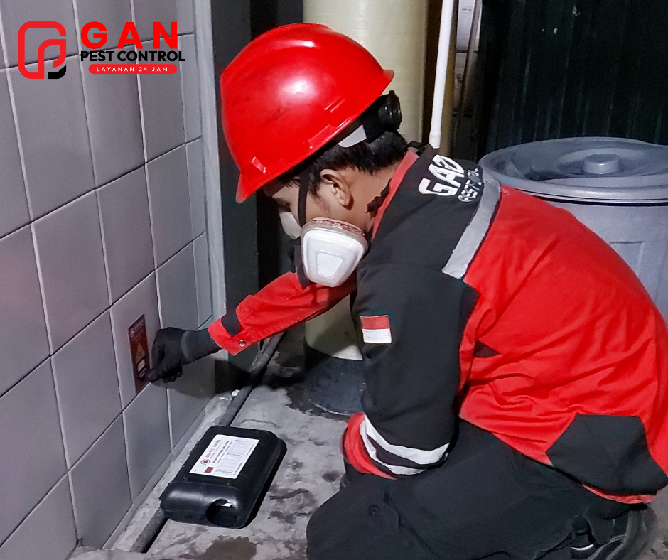 Jasa Pembasmi Tikus Terdekat