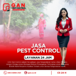 Jasa Fogging Nyamuk di Boyolali Spesialis DBD Harga Terjangkau