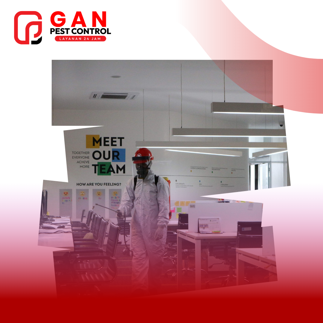 Virus: Ancaman Tak Kasat Mata dan Peran Penting Sanitasi Lingkungan