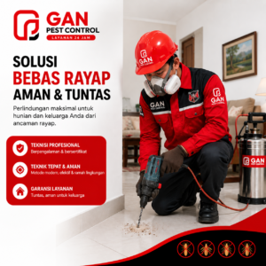 Jasa Anti Rayap di Solo: Lindungi Properti Anda dari Serangan Rayap Bersama GAN Pest Control