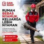 Jasa Fogging di Lombok Timur Basmi Tuntas DBD