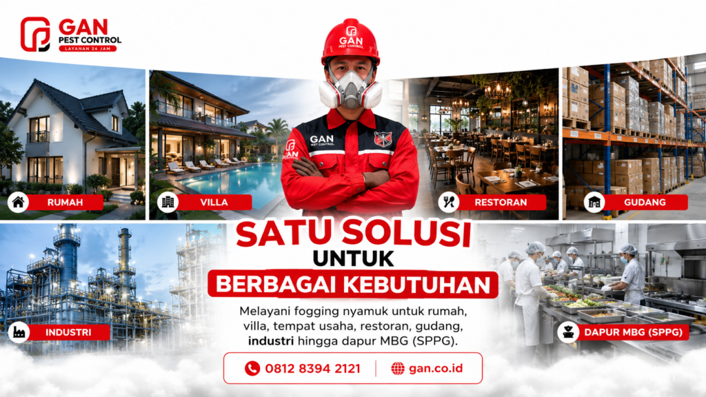 Jasa Fogging Nyamuk di Lombok Barat Untuk Rumah Pribadi
