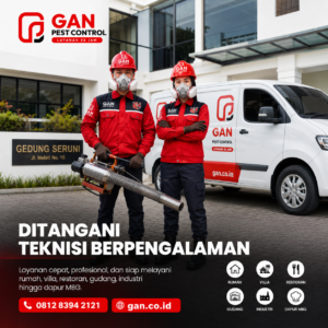 Melindungi Hunian dari Ancaman Nyamuk: Pilihan Jasa Fogging Nyamuk Solo Terpercaya