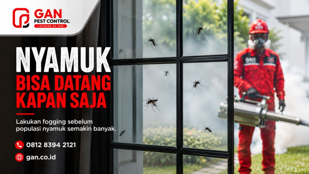 Jasa Fogging Nyamuk di Mataram Spesialis DBD No.1