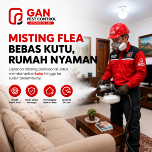 Jasa Pembasmi Kutu Kucing Solo: Solusi Efektif dari GAN Pest Control