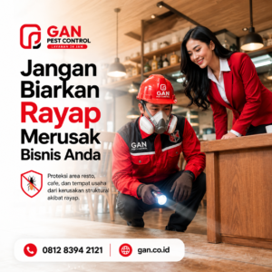Harga Jasa Anti Rayap Surabaya