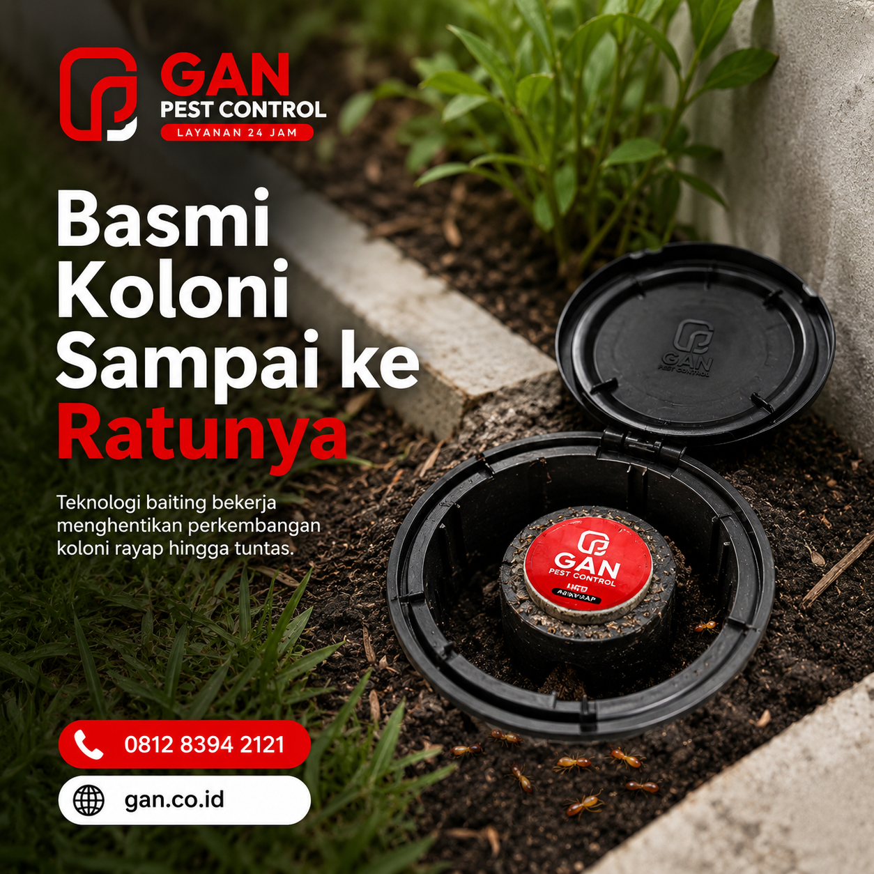 Pembasmi Rayap Rumah Surabaya