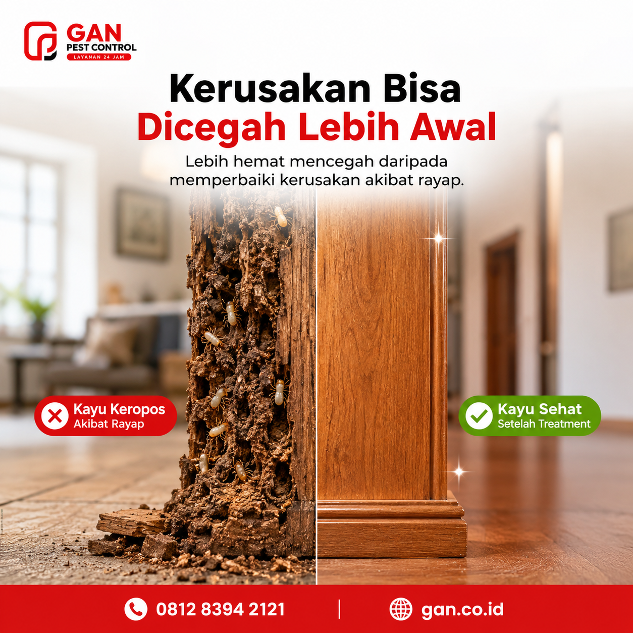Perusahaan Anti Rayap Terpercaya Surabaya