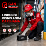 Jasa Pembasmi Tikus Terdekat di Solo: Lindungi Properti Anda dari Invasi Hama Pengerat