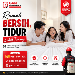 Jasa Pembasmi Kutu Kasur Mataram