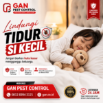 Jasa Pembasmi Kutu Kasur Bangil