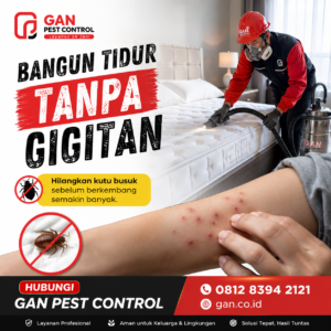 Jasa Pembasmi Kutu Kasur Pasuruan