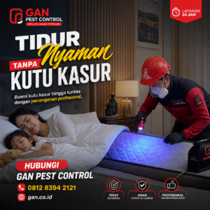 Harga Jasa Pembasmi Kutu Kasur Surakarta