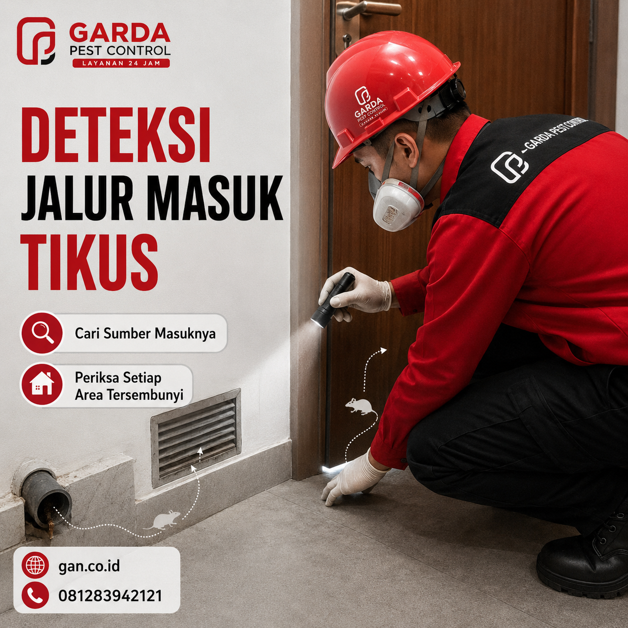 Jasa Pembasmi Tikus Surabaya? Ini Rincian Lengkapnya