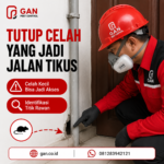 Mengapa Bahaya Kencing Tikus Bagi Kesehatan Manusia Tidak Boleh Dianggap Remeh?