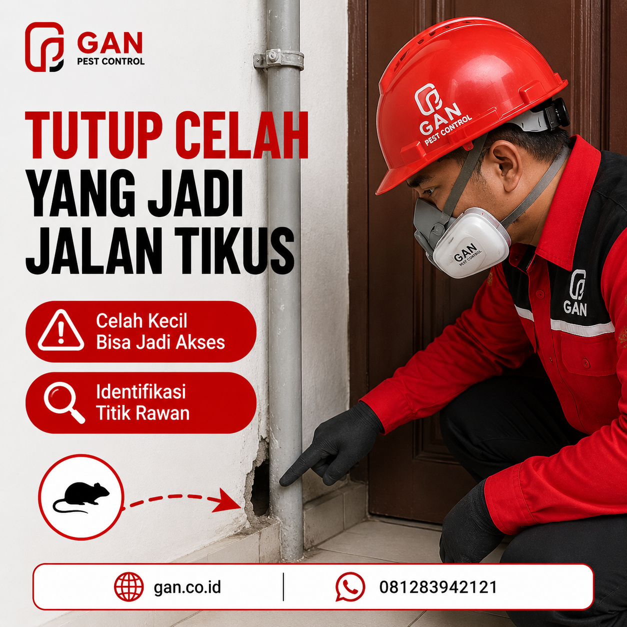 Mengapa Bahaya Kencing Tikus Bagi Kesehatan Manusia Tidak Boleh Dianggap Remeh?