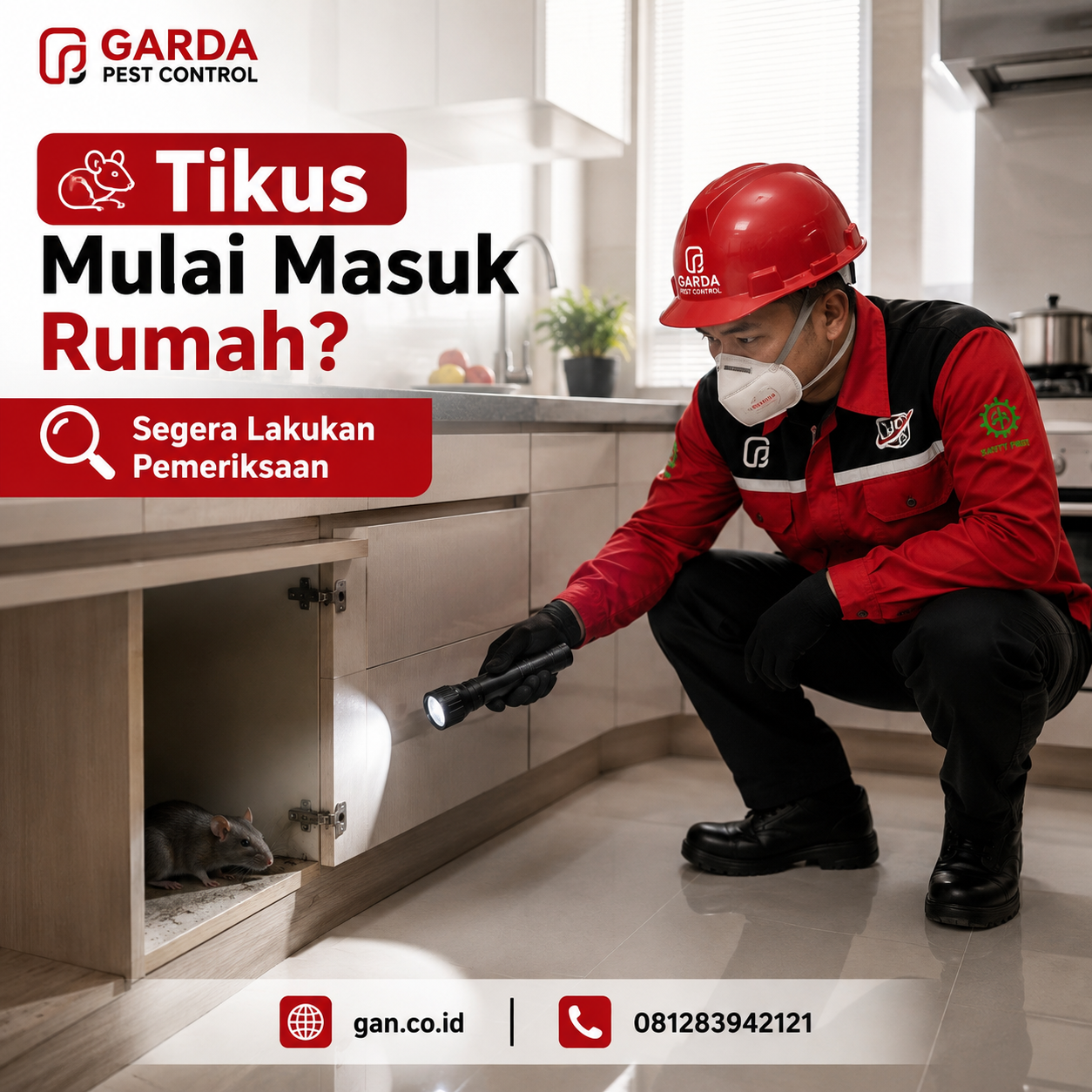 Jasa Pembasmi Tikus Surabaya? Ini Rincian Lengkapnya