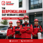 Jasa Pembasmi Kutu Busuk Kasur Surabaya Penanganan Tuntas