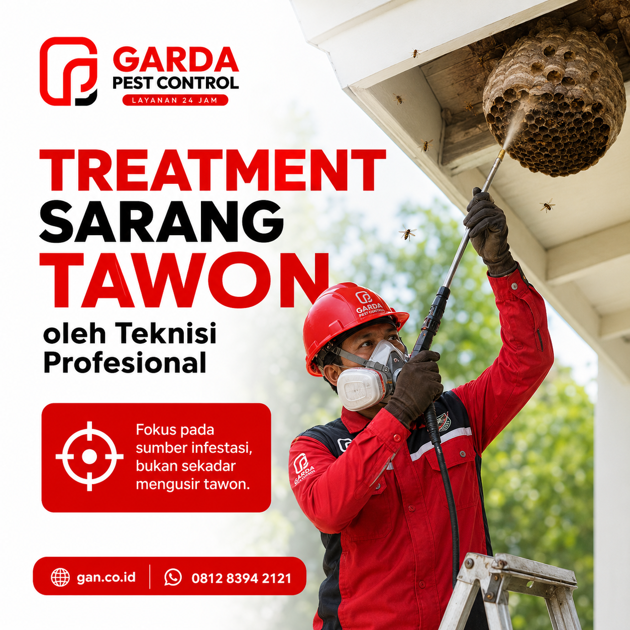 Jasa Basmi Tawon Surabaya untuk Rumah Kantor & Usaha - Gambar 3