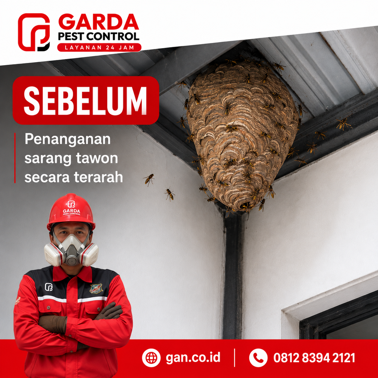 Jasa Basmi Tawon Surabaya untuk Rumah Kantor & Usaha - Gambar 5