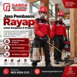 Jasa Anti Rayap Solo untuk Rumah, Kantor, dan Tempat Usaha