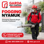 Daftar Biaya Jasa Fogging Nyamuk Rumah 